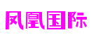 湖北省武汉市凤凰国际信息发展有限公司